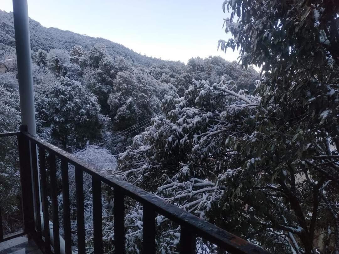 Oak Wood Homestay Banikhet Dalhousie Zewnętrze zdjęcie